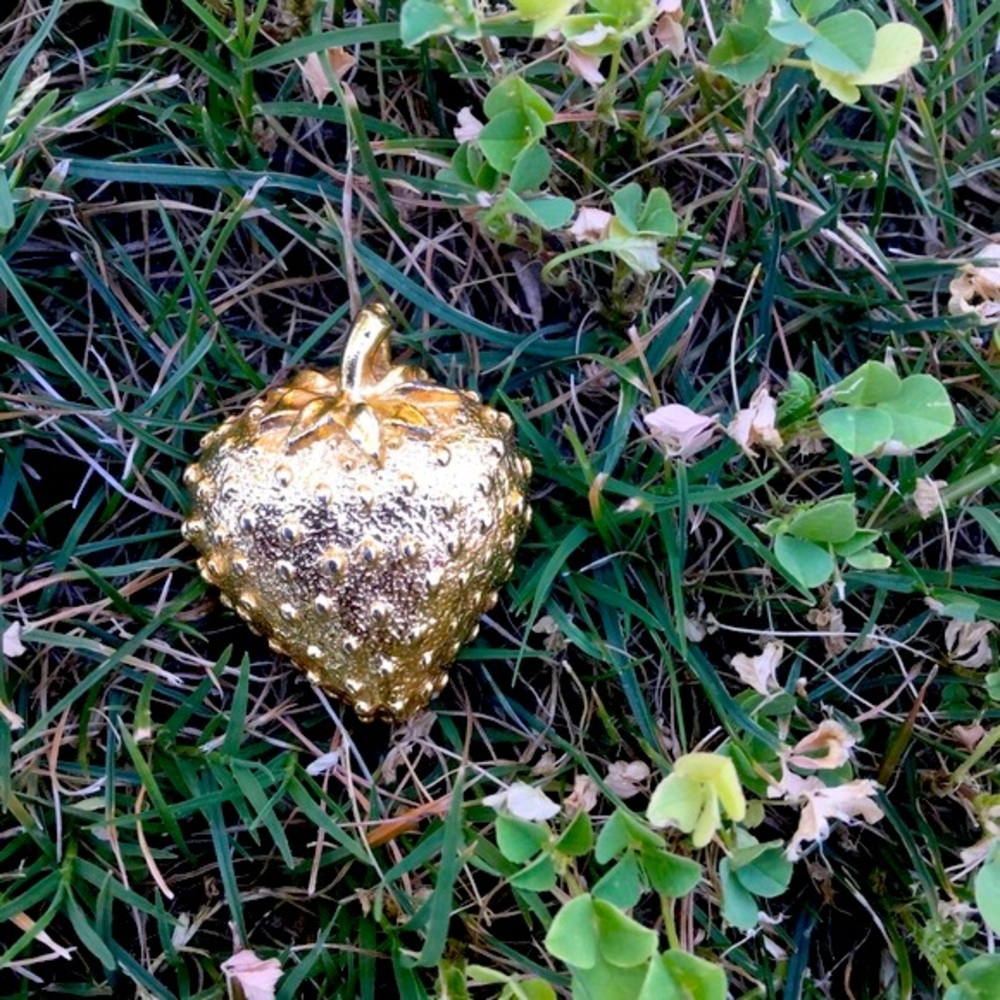 🍓 Strawberry Pin/Pendent 🍓
